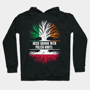 Irish Grown With Polish Roots Ireland Flag Hoodie